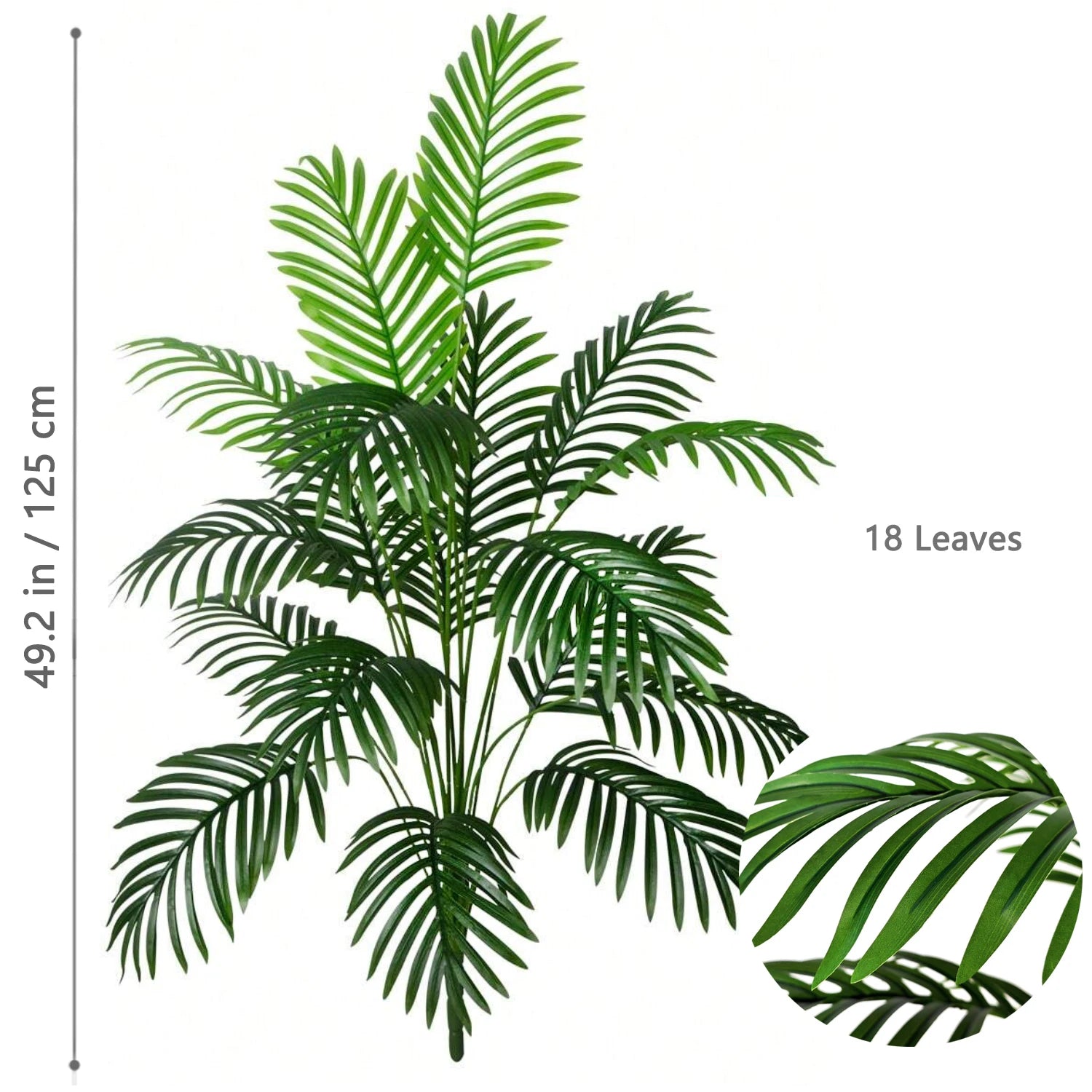 Palm Tree Branch - 52–125cm