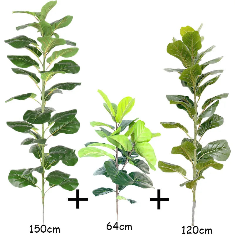 Ficus Lyrata Tree - 150cm