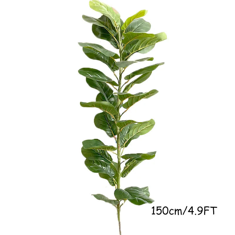 Ficus Lyrata Tree - 150cm