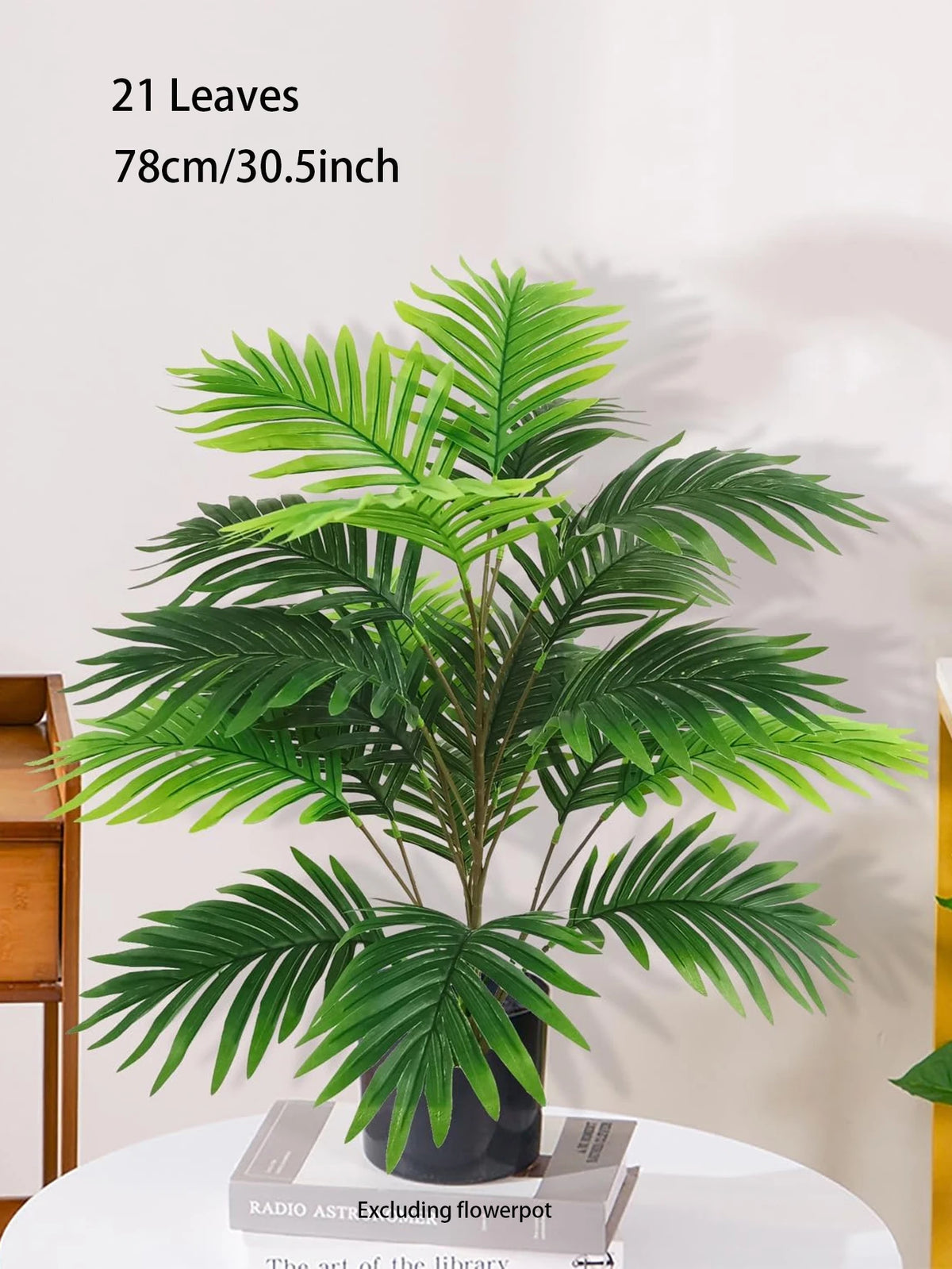Palm Tree with Turtle Back Leaves - 70–120cm