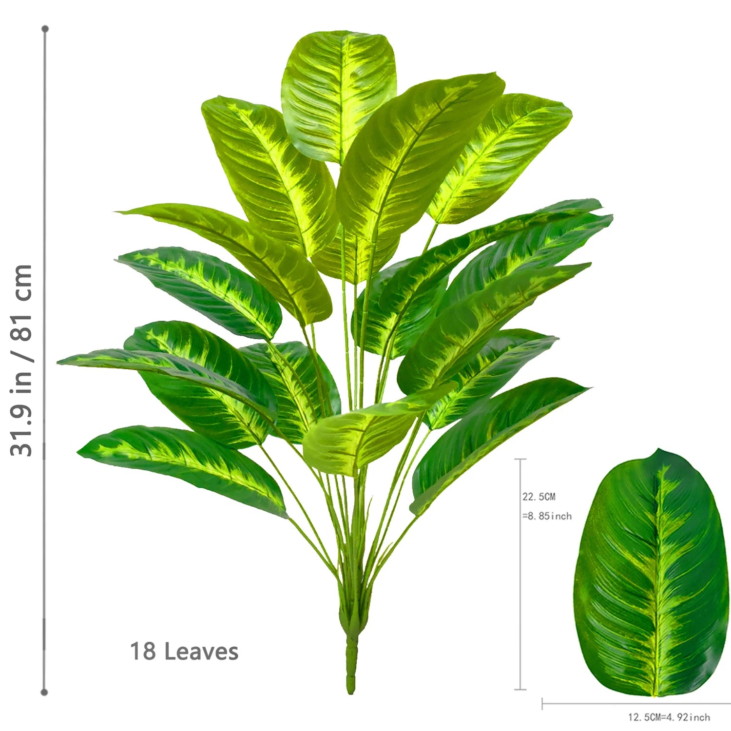 Palm Tree with 24 Leaves