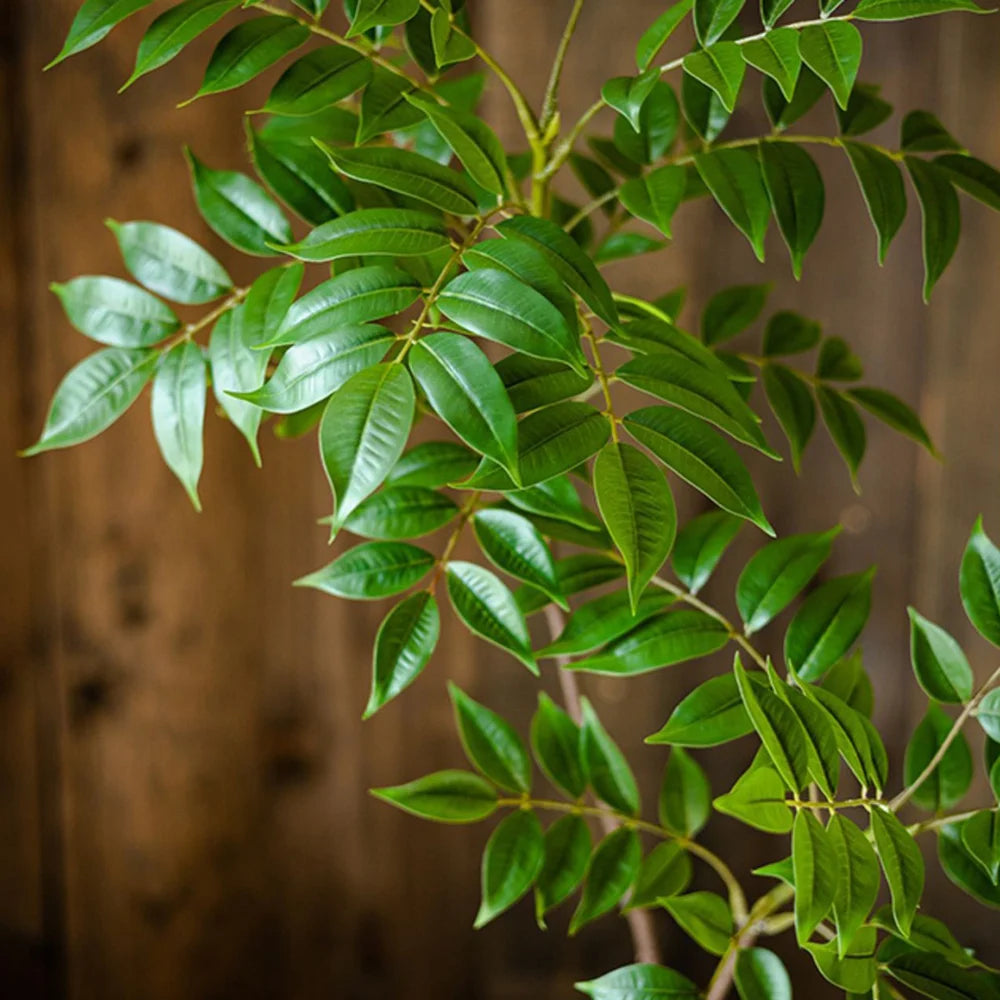 Large Artificial Ficus Tree (76–140cm)