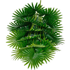 Tung Palm Tree Nordic Style 120cm