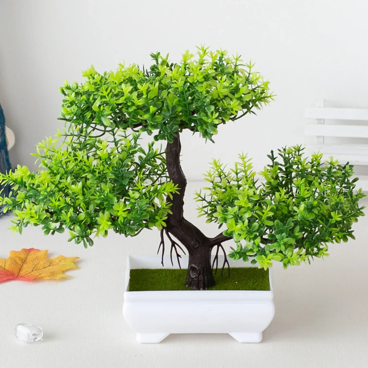 Bonsai Tree in Pot - 25cm