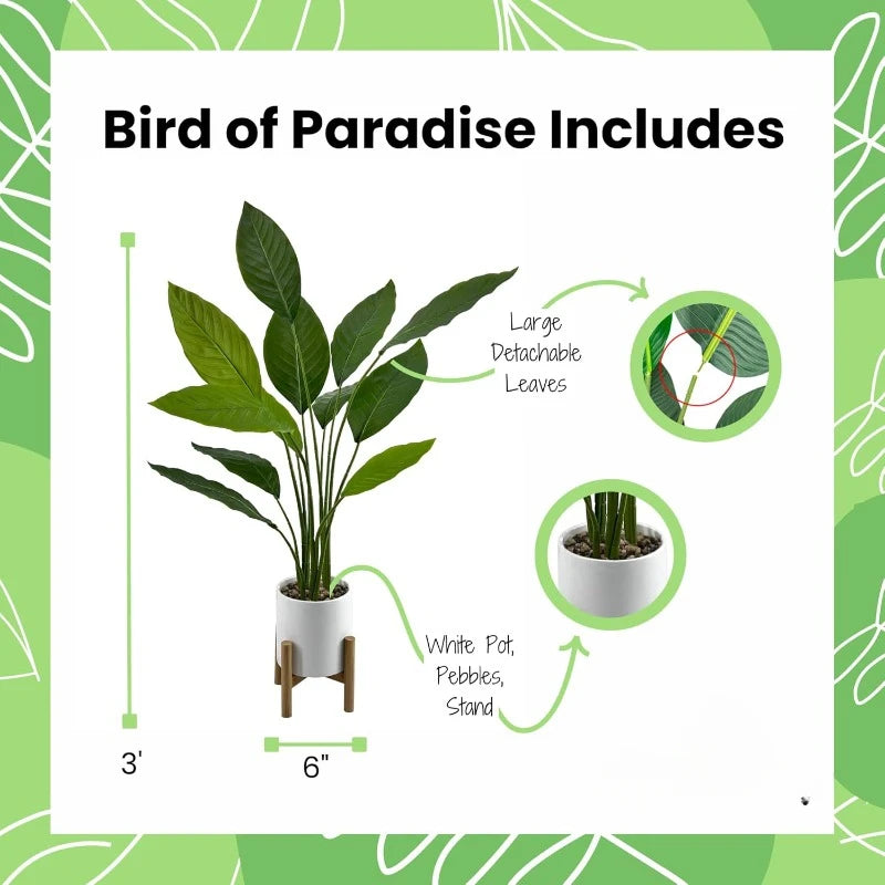 Bird of Paradise Plant – 91 cm