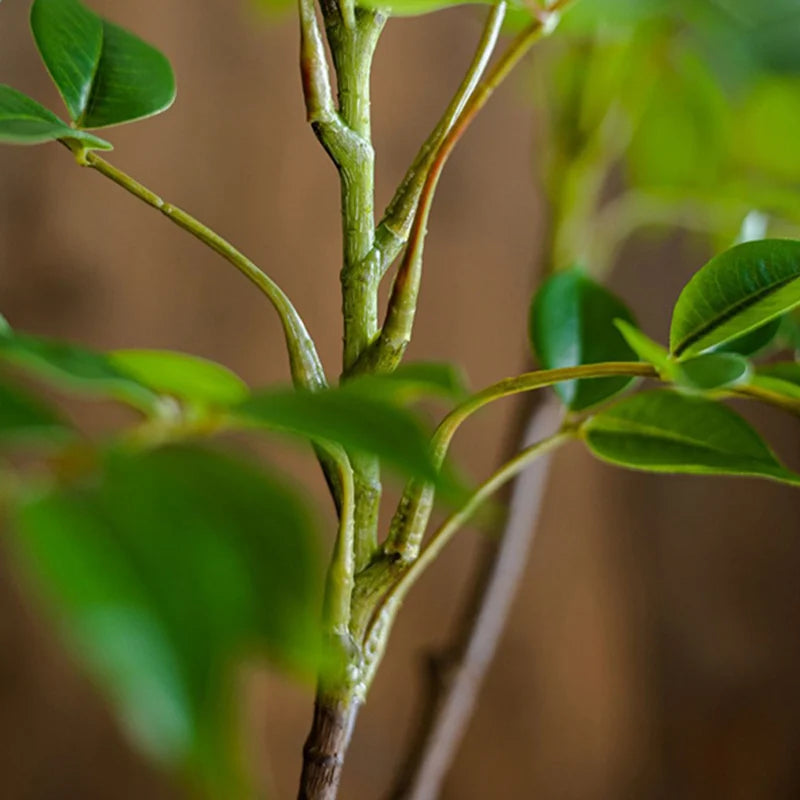 Large Artificial Ficus Tree (76–140cm)