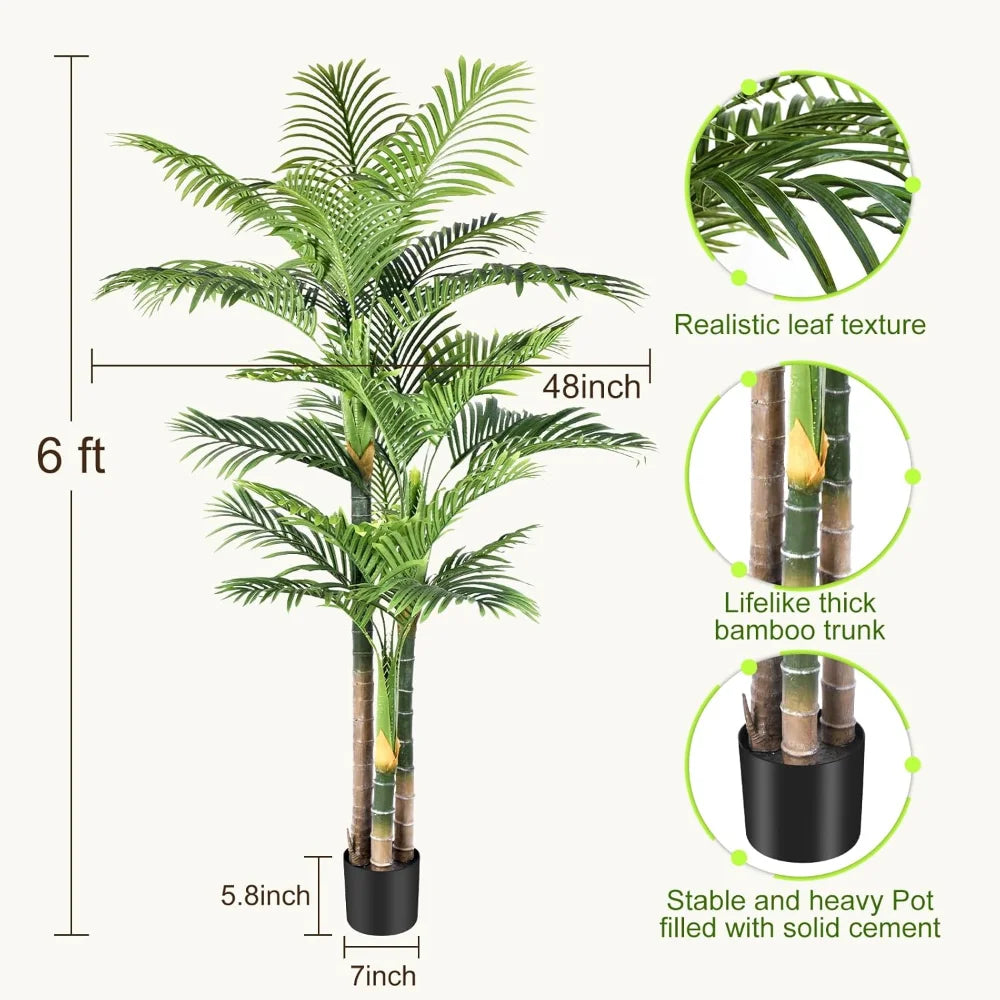 Triple Golden Cane Palm – 180 cm