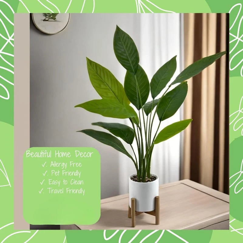 Bird of Paradise Plant – 91 cm