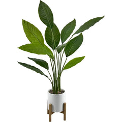 Bird of Paradise Plant – 91 cm