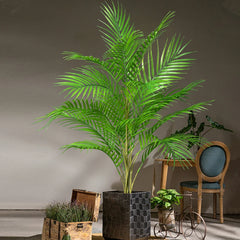 Palm Tree – 50 to 88 cm
