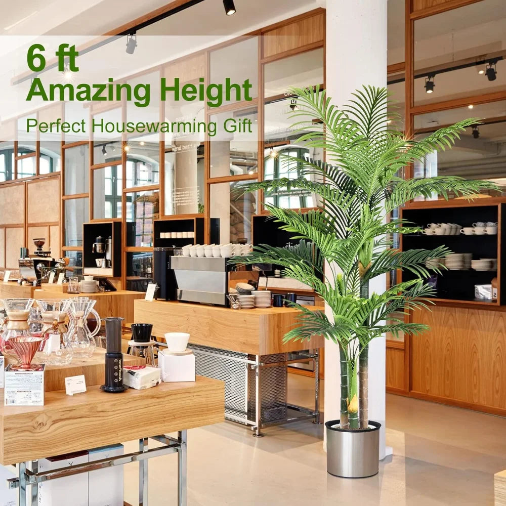 Triple Golden Cane Palm – 180 cm