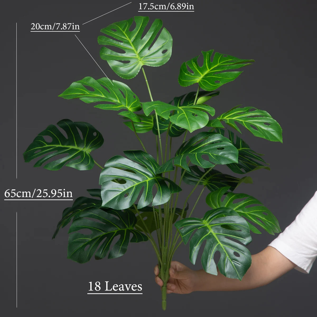 Monstera Tree with Turtle Leaves - 65cm