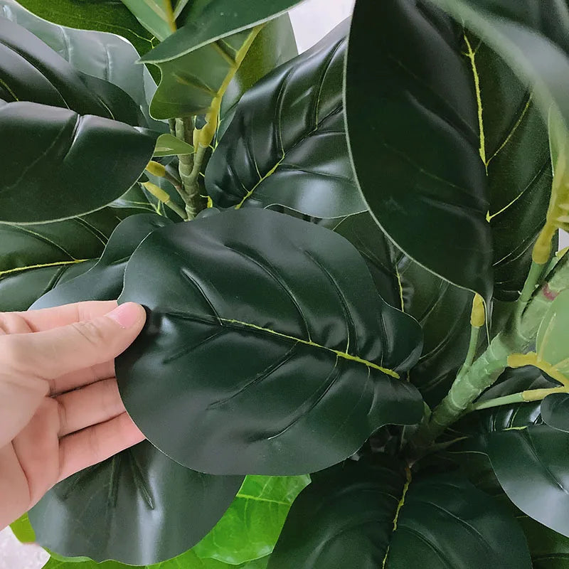 Ficus Lyrata Tree - 150cm