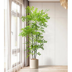 Felicitous Palm Tree - 110–180cm