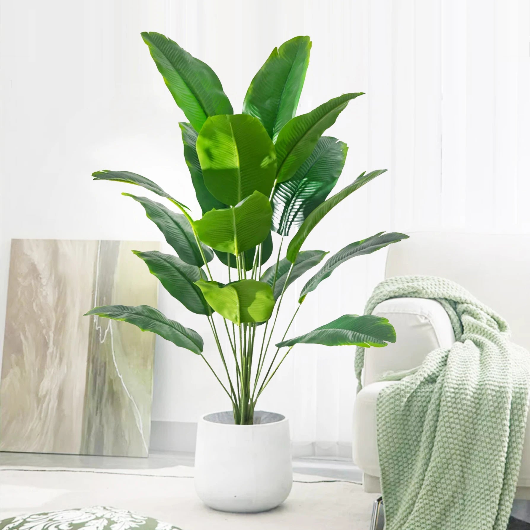 Palm Tree with 24 Leaves