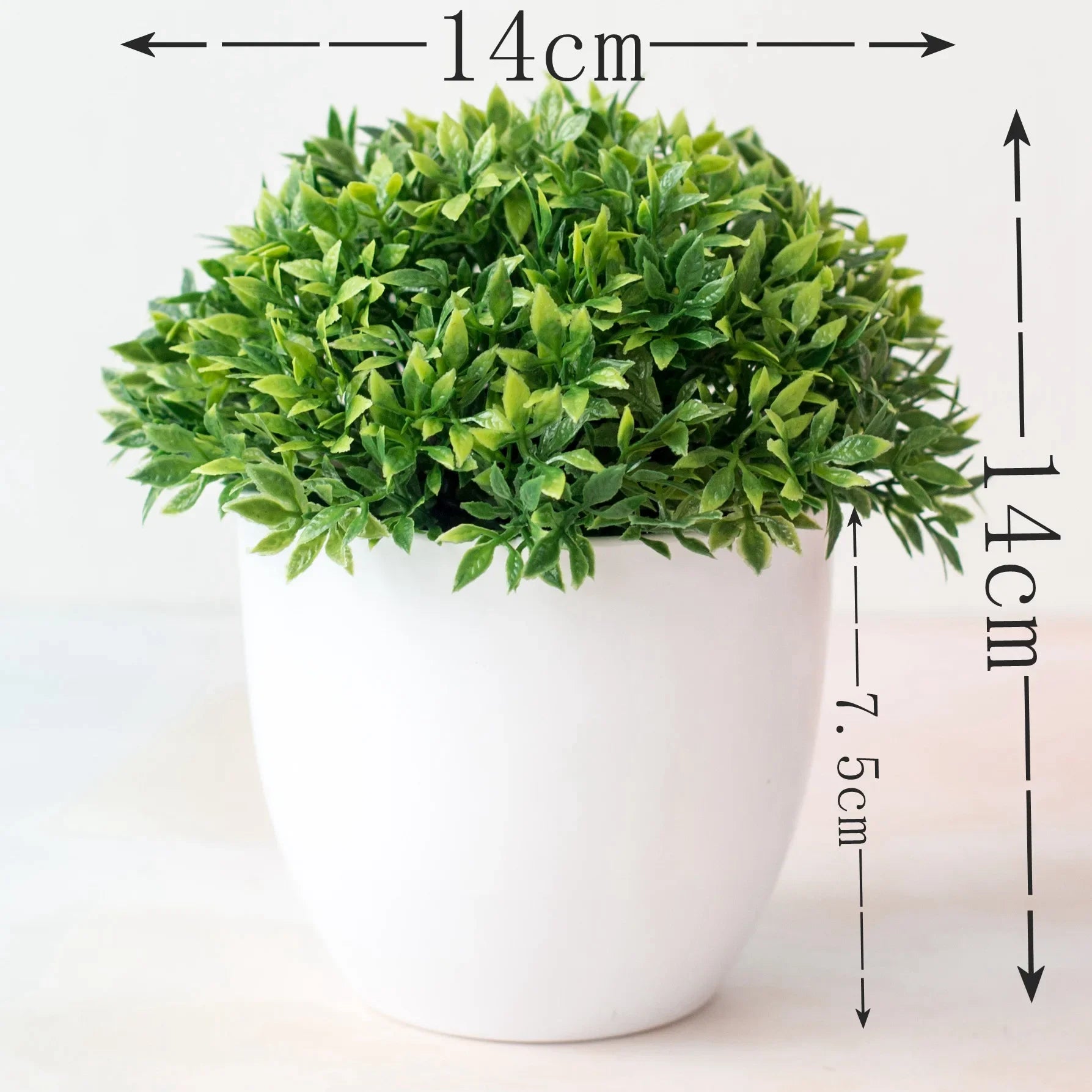 Bonsai Tree in Pot - 25cm