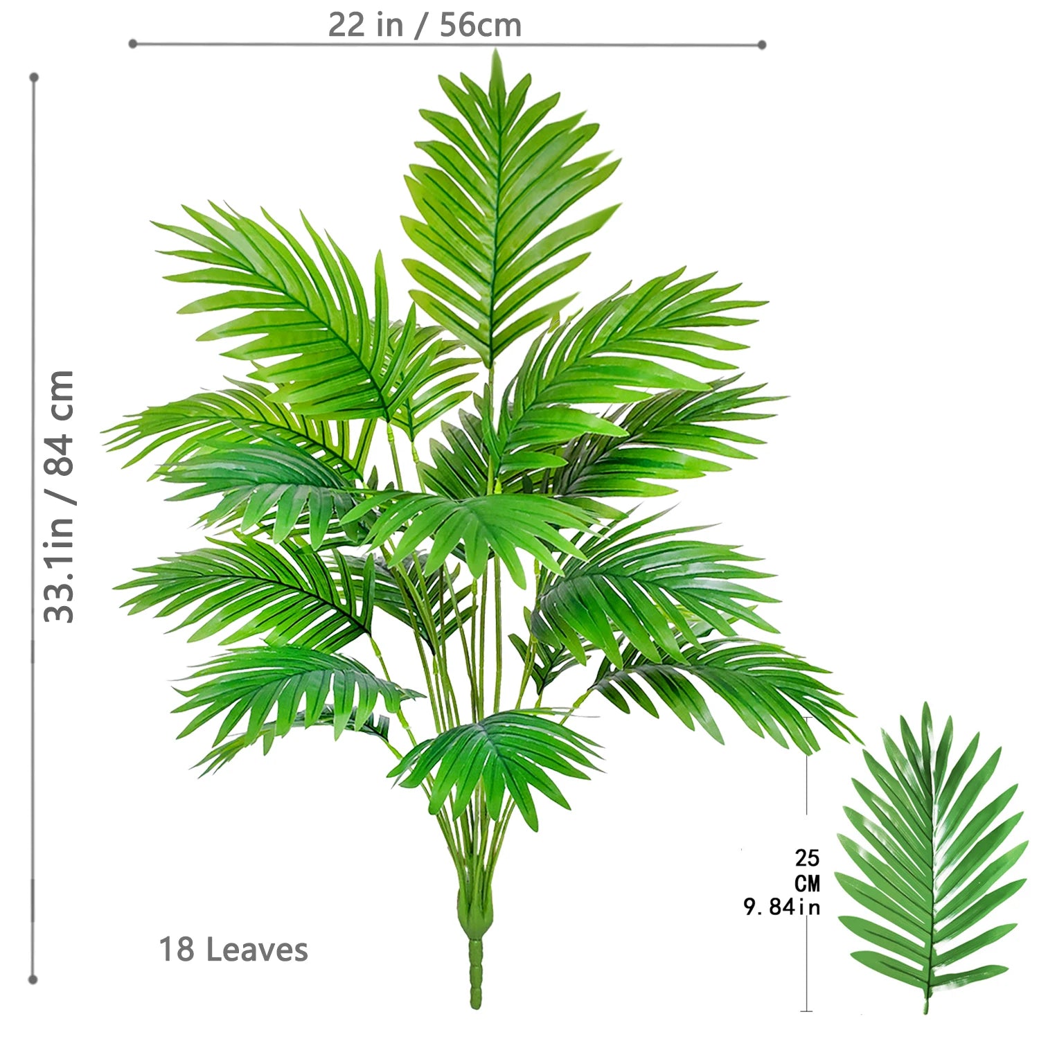Palm Tree Branch - 52–125cm