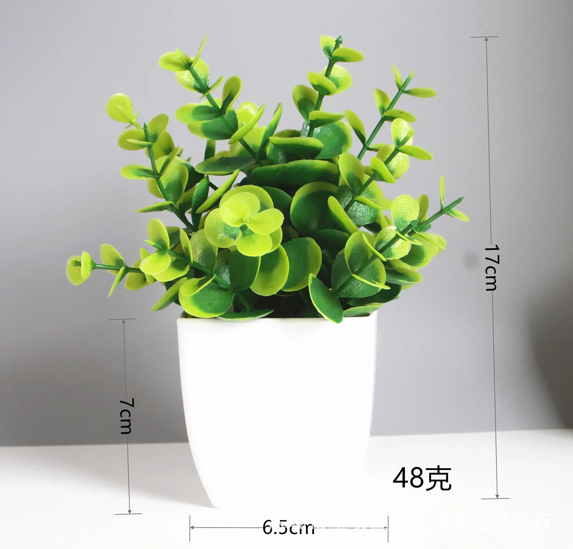 Eucalyptus Bonsai – 30cm