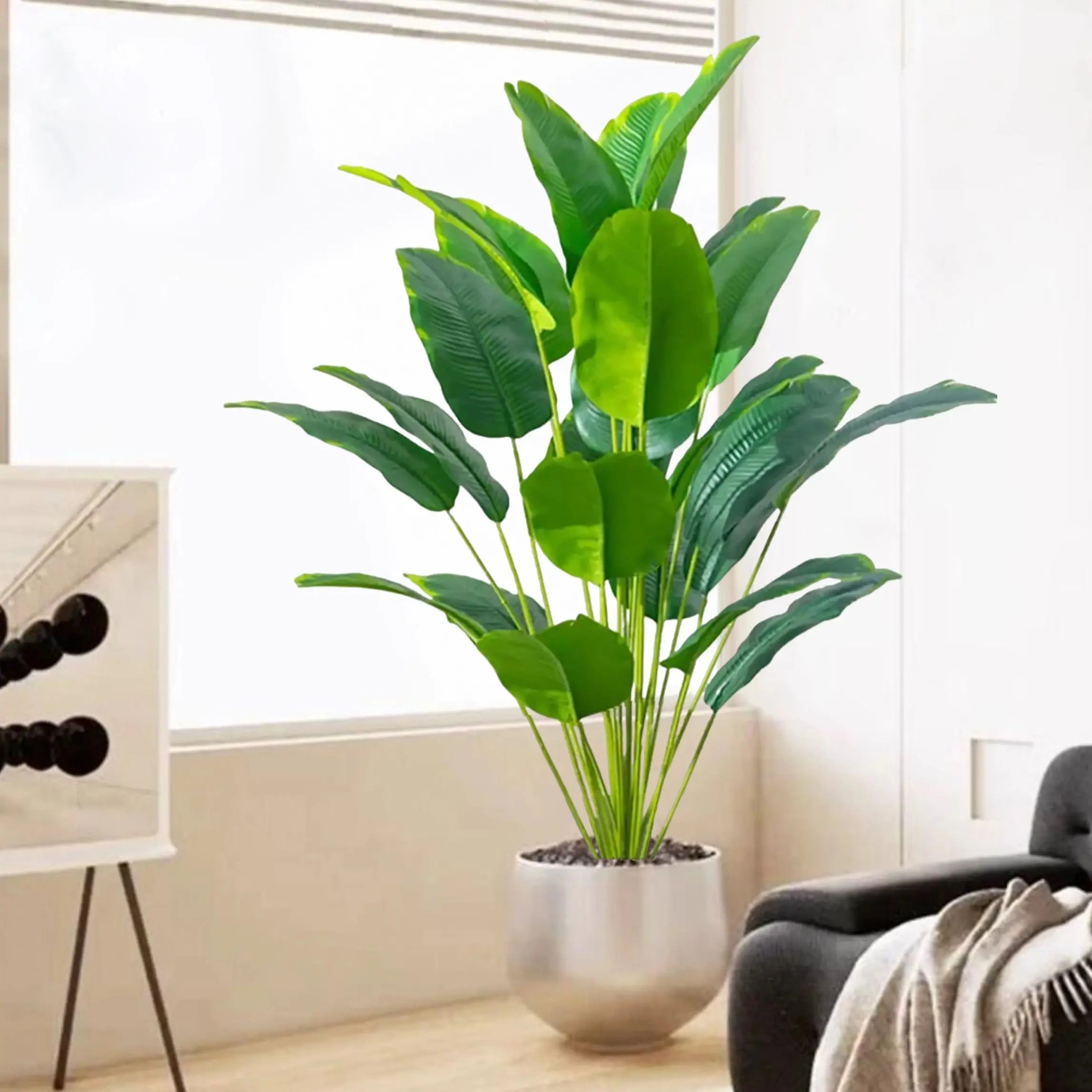 Palm Tree with 24 Leaves