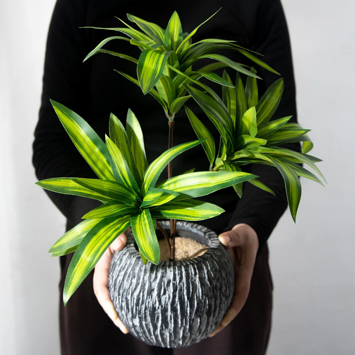 Palm Tree with 3 Heads - 36cm