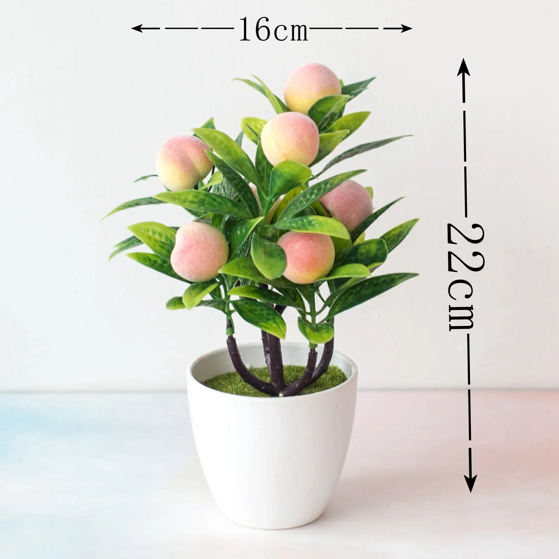 Bonsai Tree in Pot - 25cm