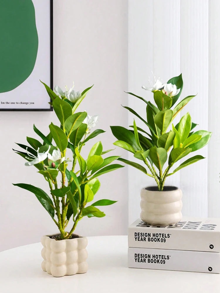 Azalea Plant – 21–40cm