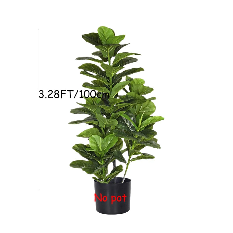 Ficus Banyan Tree - 120cm