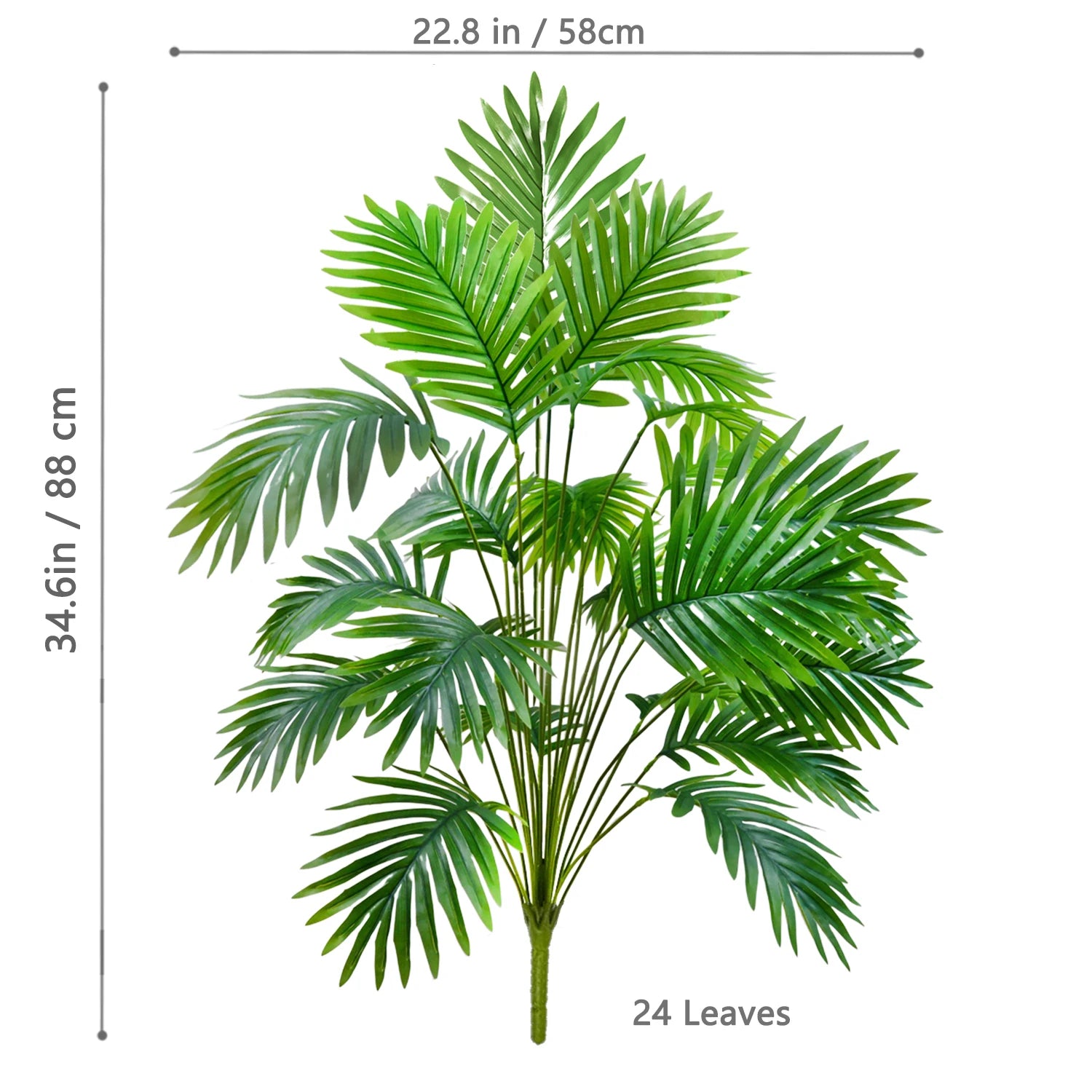 Palm Tree Branch - 52–125cm