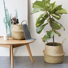 Foldable Wicker Flowerpot & Home Organizer