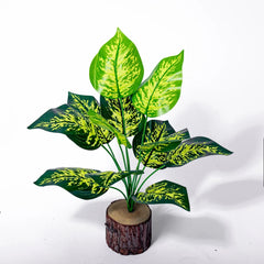Monstera Tree with 12 Forks - 43cm