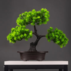 Pine Bonsai Tree - 27cm