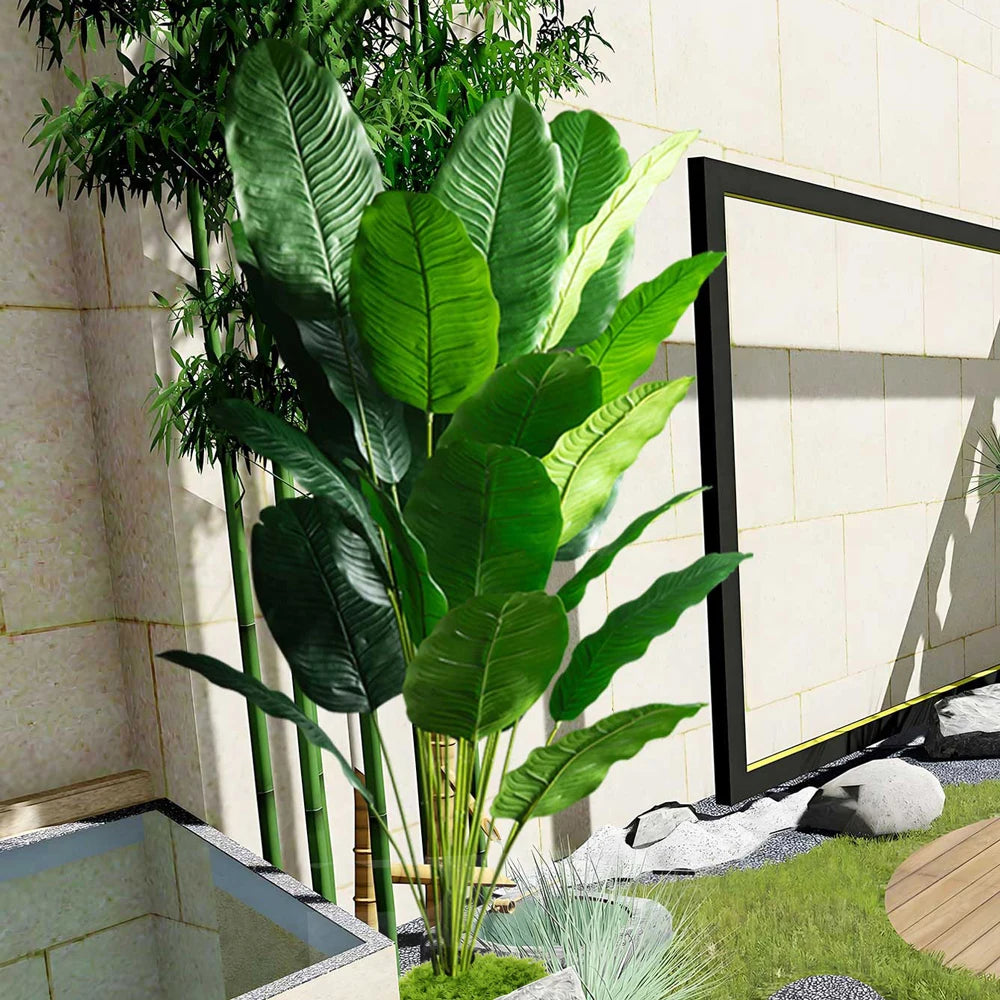 Bird of Paradise Tree Banana Leaf Plant 85–115cm