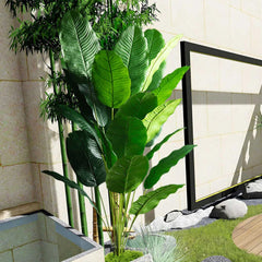 Bird of Paradise Tree Banana Leaf Plant 85–115cm
