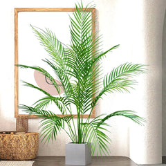 Palm Tree – 50 to 88 cm