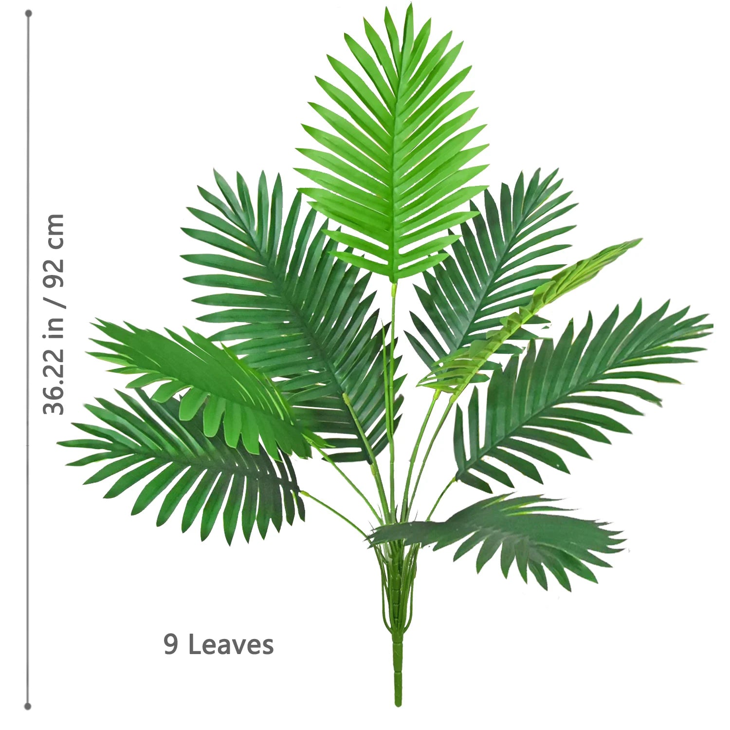 Palm Tree Branch - 52–125cm