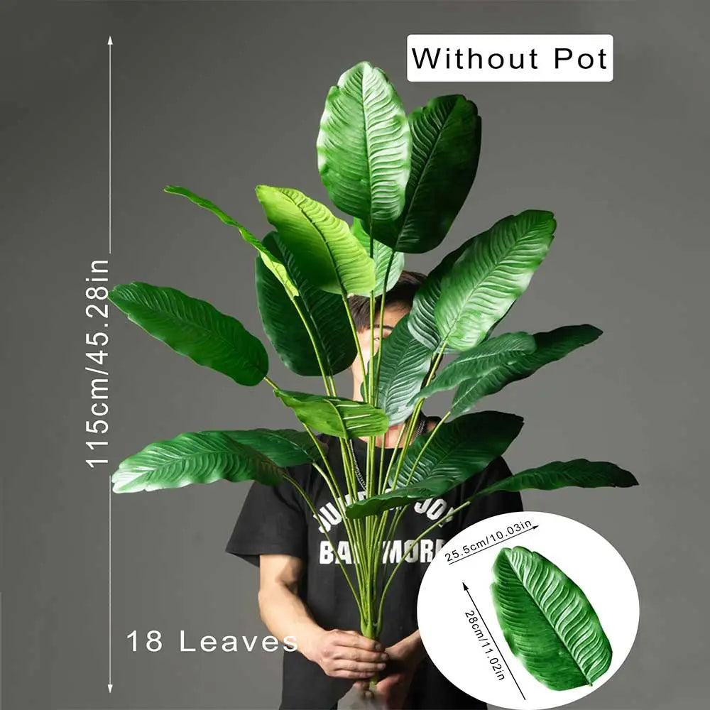 Bird of Paradise Tree Banana Leaf Plant 85–115cm