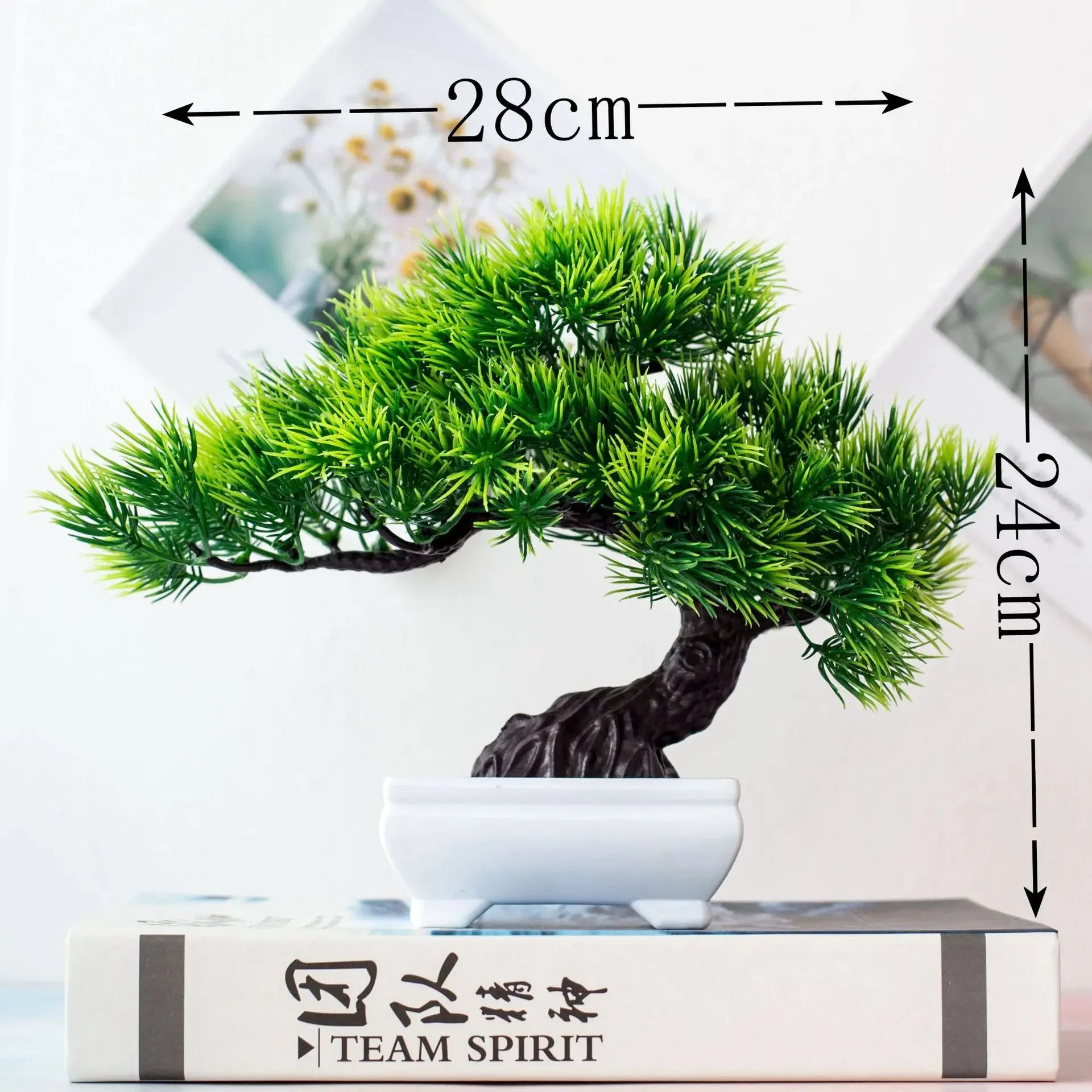 Bonsai Tree in Pot - 25cm