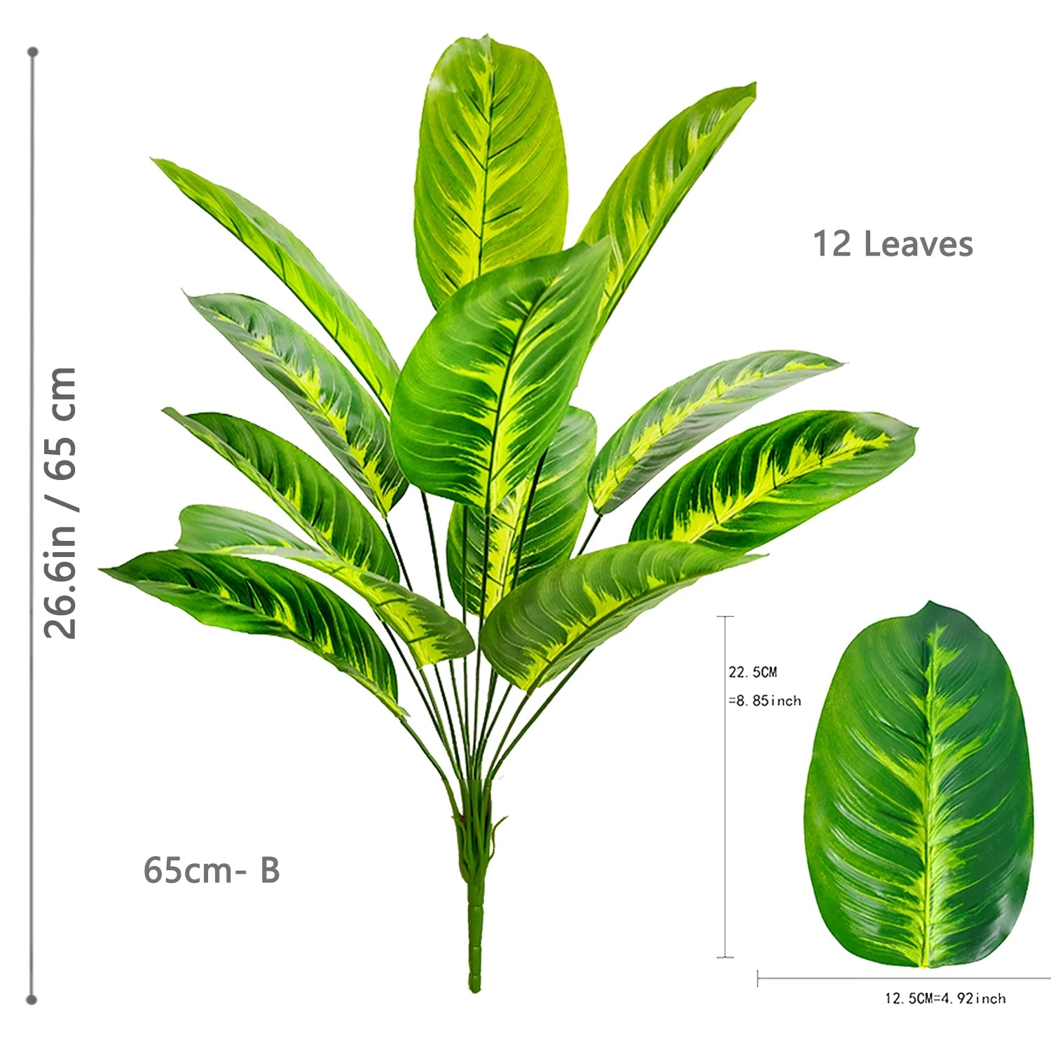 Palm Tree with 24 Leaves