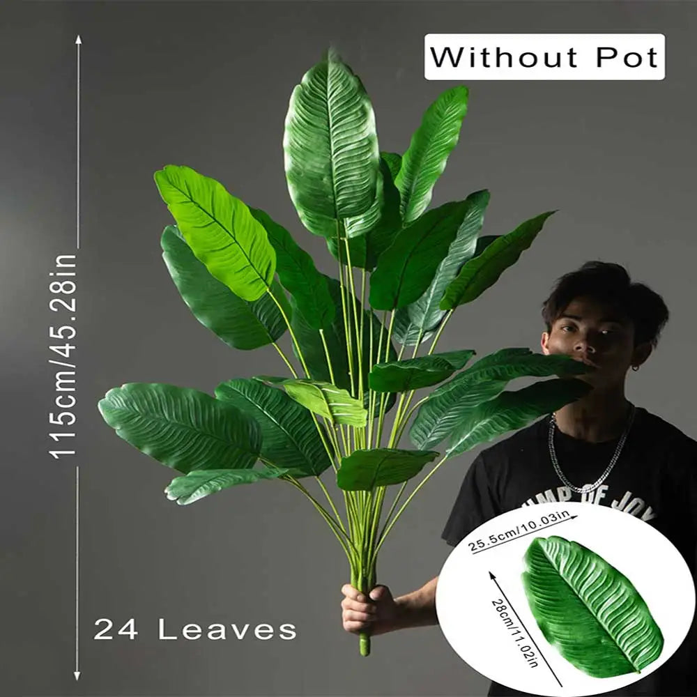 Bird of Paradise Tree Banana Leaf Plant 85–115cm