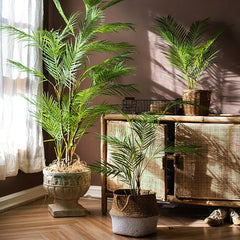 Tropical Monstera Palm Tree 125cm