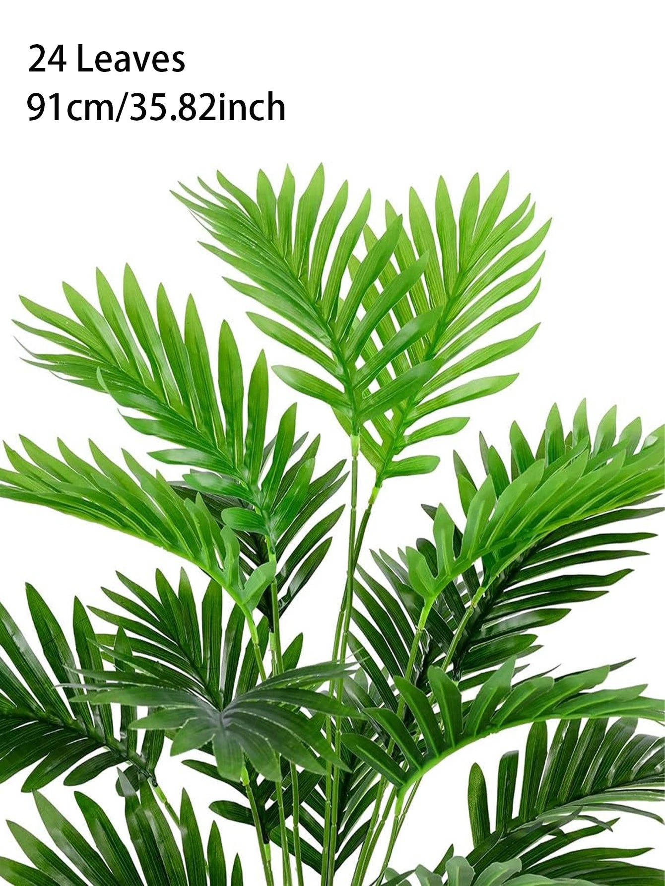Palm Tree with Turtle Back Leaves - 70–120cm