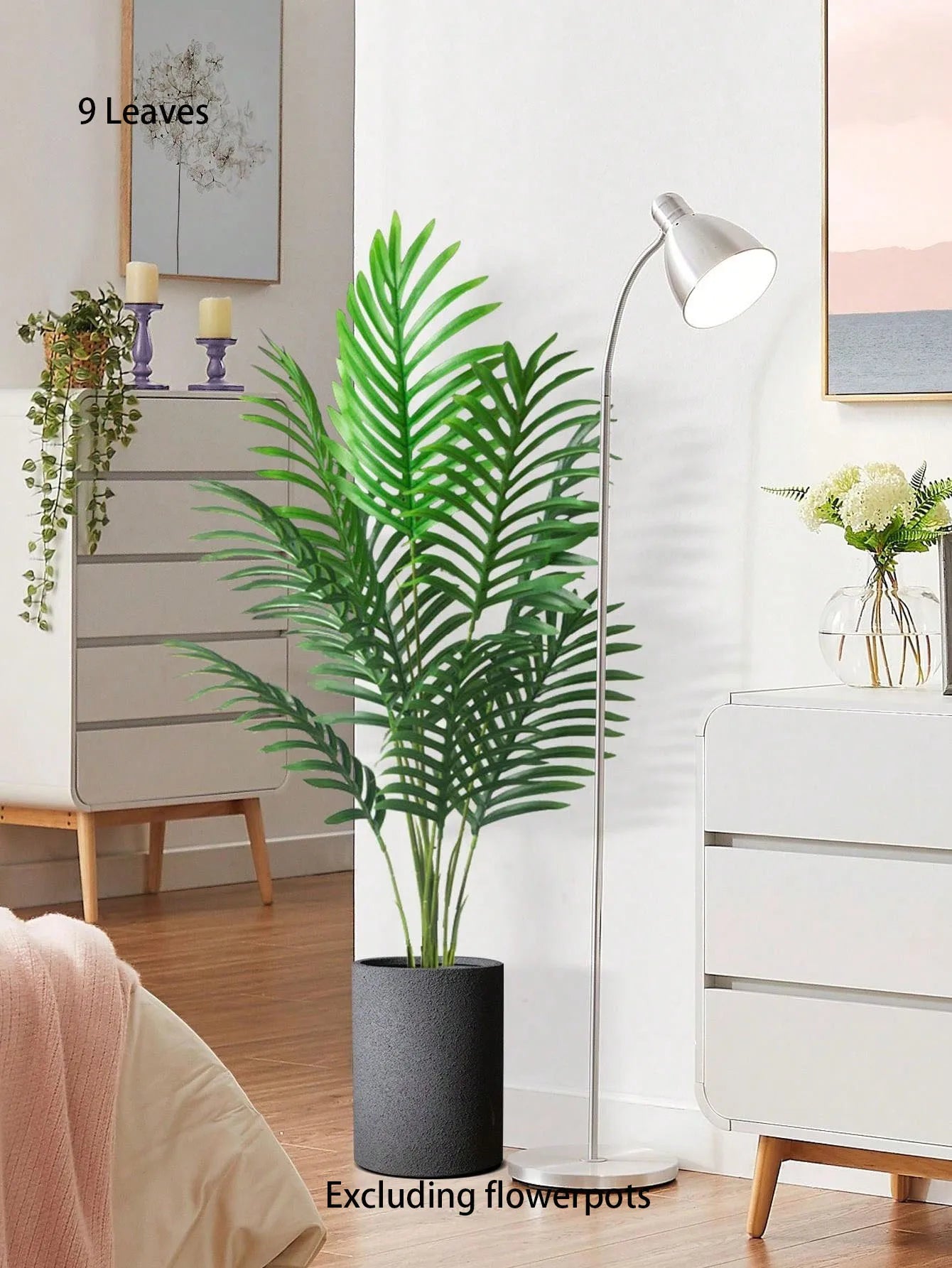 Palm Tree with Turtle Back Leaves - 70–120cm