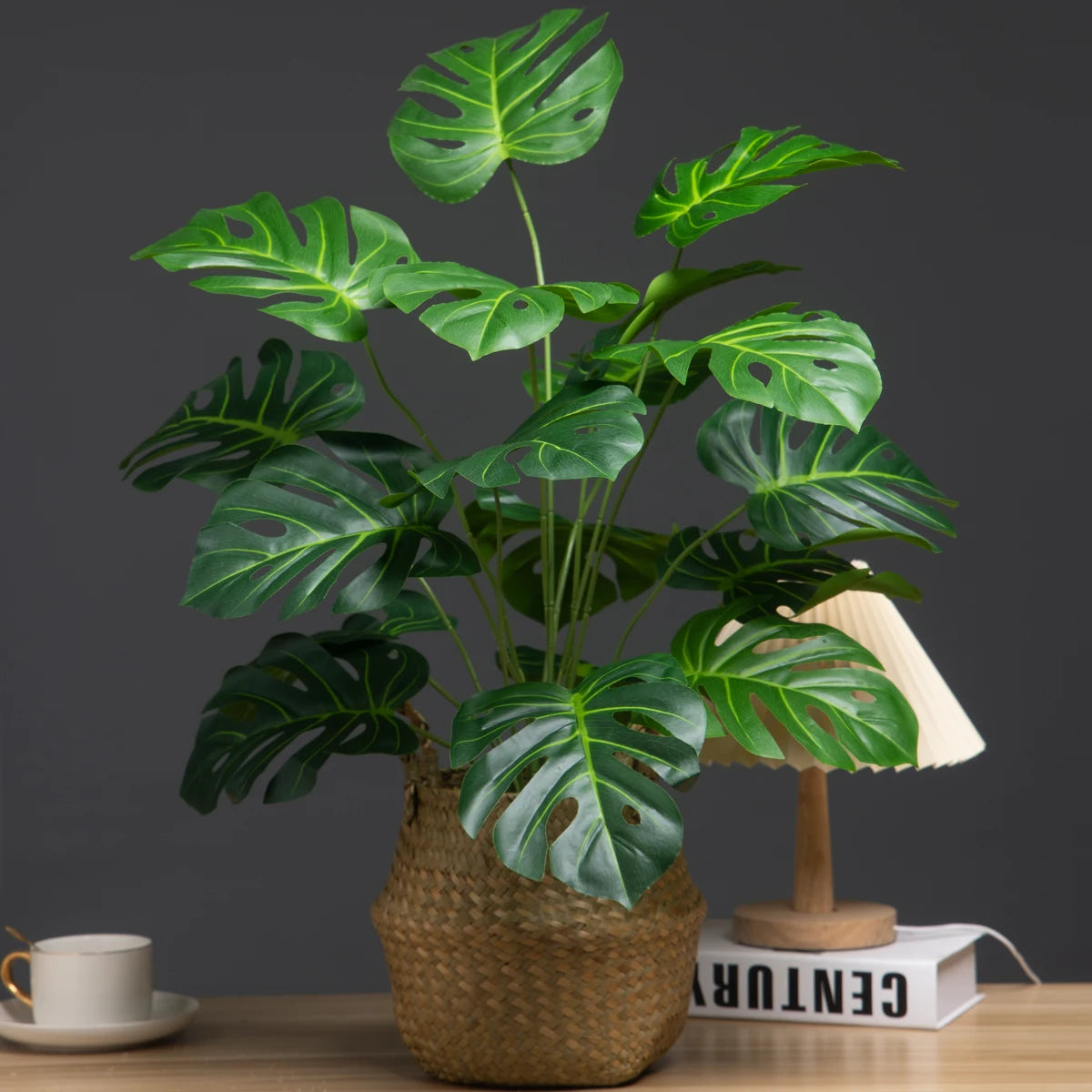 Monstera Tree with Turtle Leaves - 65cm