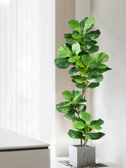 Artificial Fiddle Leaf Fig Tree 70–135 cm