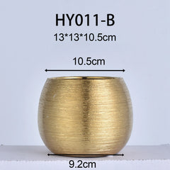 Elegant Multi-Purpose Vase for Home & Office
