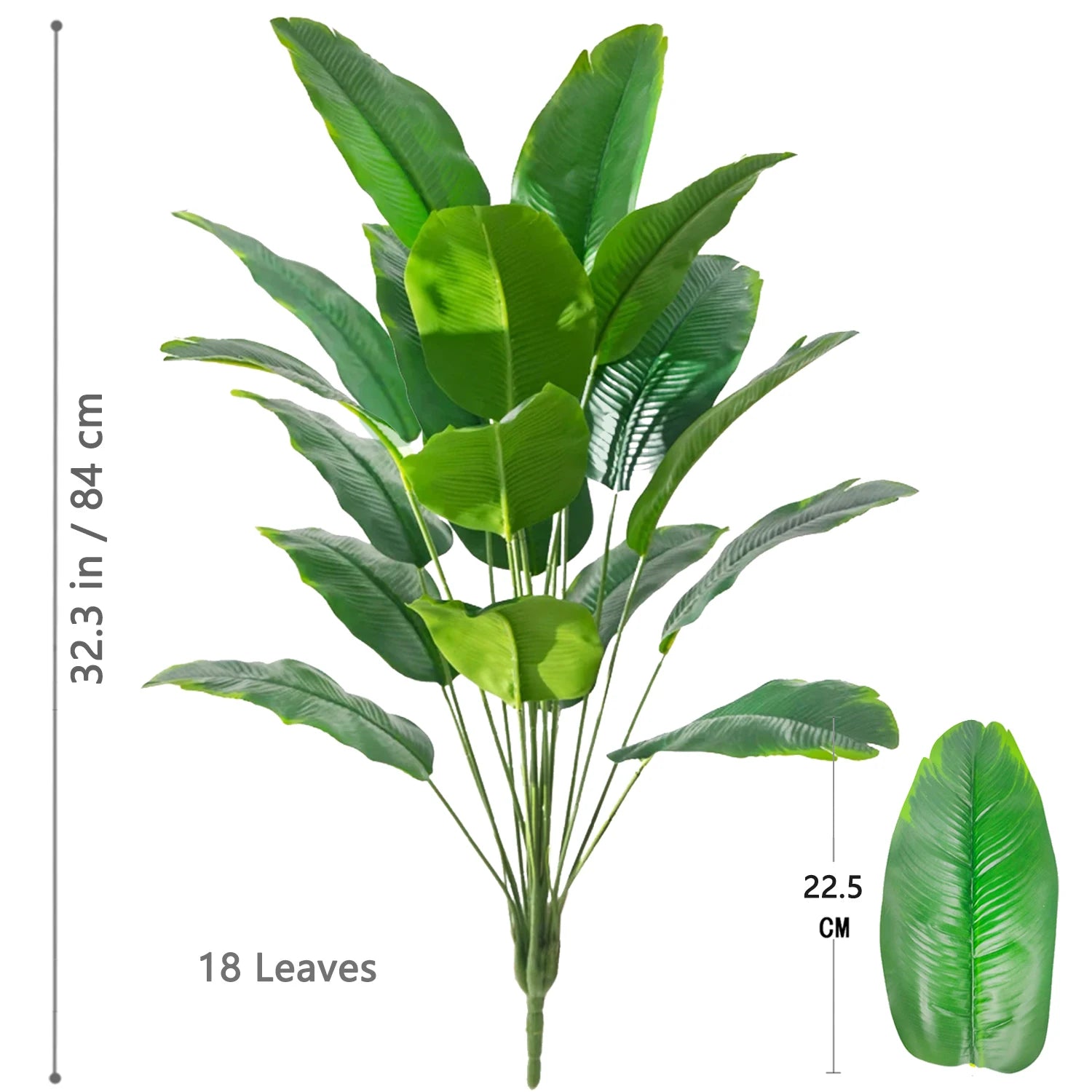 Palm Tree with 24 Leaves