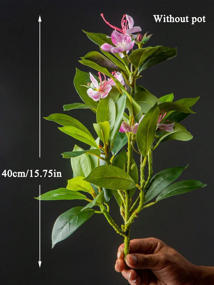 Azalea Plant – 21–40cm