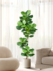 Artificial Fiddle Leaf Fig Tree 70–135 cm