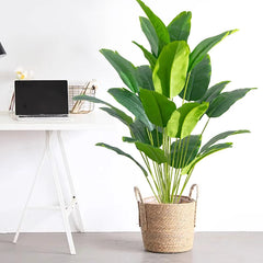 Tropical Palm Tree - 88cm