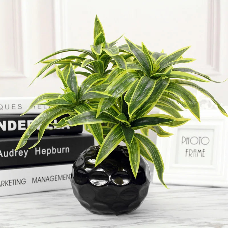 Palm Tree with 3 Heads - 36cm